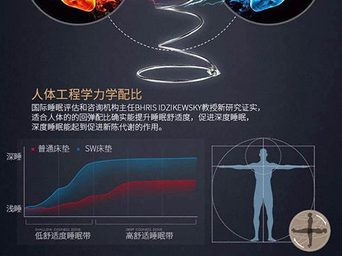 湖南省茵源家居用品有限公司,藍月亮床墊,墨爾本床墊,薰衣草床墊,中國結床墊